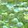 Pailletten im Blister  1.400 Stck. grün irisierend