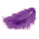 Marabufedern, violett, ca.12cm lang, 17 Stück