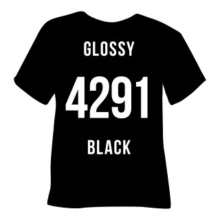 4291 Glossy Black